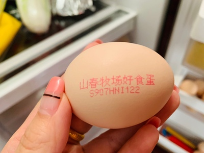 浏览全球网络，您还能找到比这个更全面的鸡蛋喷码机解决方案吗？